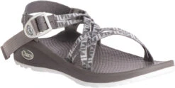 Chaco Women's Z/Cloud X -Englins Fine Footwear Store chaco womens z cloud x echo paloma j106608 54061.1647288280
