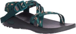 Chaco Women's Z/Cloud X -Englins Fine Footwear Store chaco womens z cloud x warren pine jch107986 41418.1647288280