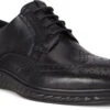 ECCO Men's ST.1 Hybrid Lite Wingtip Brogue -Englins Fine Footwear Store ecco mens st 1 hybrid lite wingtip brogue black 83720411001 24715.1597881417