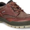 ECCO Men's Track 25 Shoe -Englins Fine Footwear Store ecco mens track 25 shoe bison 83171452600 56705.1567448226