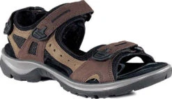 ECCO Women's Yucatan Sandal -Englins Fine Footwear Store ecco womens yucatan bison 06956352524 04739.1687214227