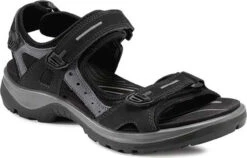 ECCO Women's Yucatan Sandal -Englins Fine Footwear Store ecco womens yucatan black mole black 06956350034 00437.1687214227