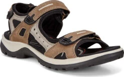 ECCO Women's Yucatan Sandal -Englins Fine Footwear Store ecco womens yucatan sandal birch 06956302175 96201.1687214227