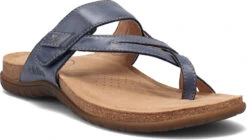 Taos Perfect -Englins Fine Footwear Store taos us womens perfect dark blue prf 14050 dkbl 57607.1682093219