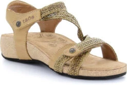 Taos Trulie 15 Taos Trulie -Englins Fine Footwear Store taos women trulie camel tru 16406 cml 79327.1682088053