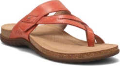 Taos Perfect -Englins Fine Footwear Store taos womens perfect bruschetta prf 14050 bset 78355.1682093219