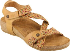 Taos Trulie 22 Taos Trulie -Englins Fine Footwear Store taos womens trulie tan multi tru 16406 tanm 68630.1682088054