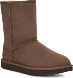 UGG Women's Classic Short II -Englins Fine Footwear Store ugg womens classic short ii burnt cedar 1016223 bcdr 74484.1730733842